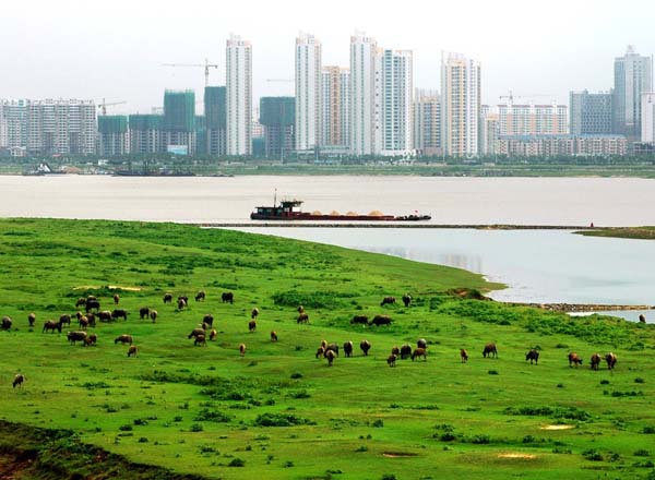 南昌市象湖景区西堤以东景观改造升级工程可行性研究报告 南昌市象湖景区西堤以东景观改造升级工程可行性研究报告
